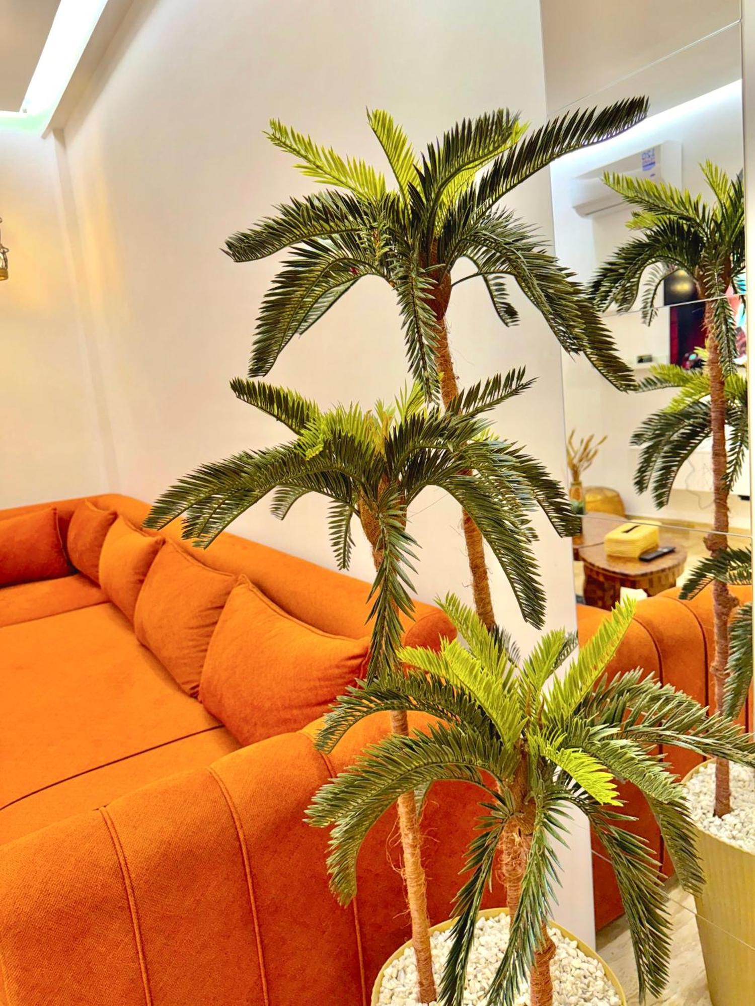 Apartment As29 Luxueux Au Centre Casa Tramway Parking *